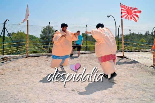 Goofy games en Sitges Goofy games en Sitges para despedidas