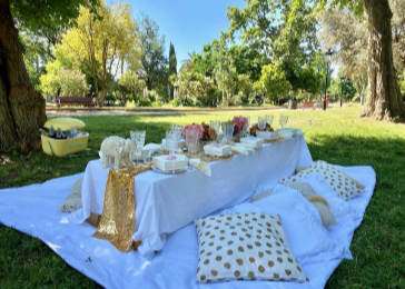 Hen Party Picnic Barcelona and Sitges